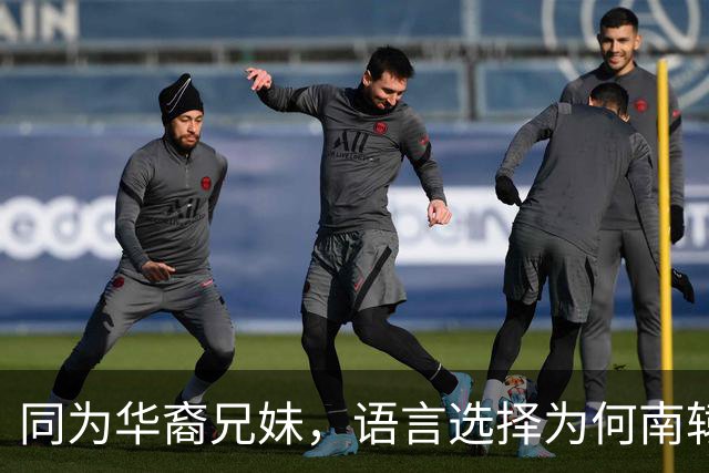 同为华裔兄妹，语言选择为何南辕北辙？