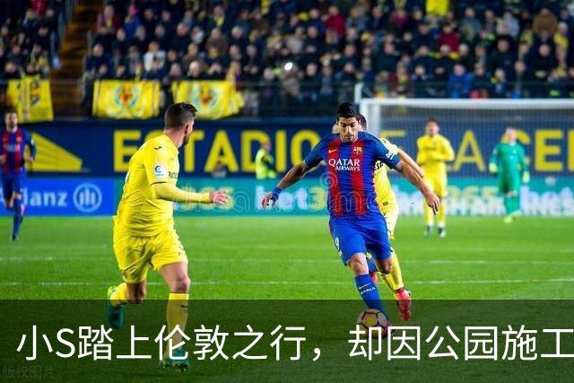 小S踏上伦敦之行，却因公园施工无法见到大S的纪念长椅